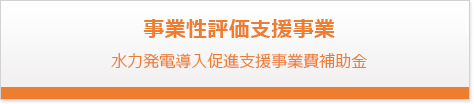 事業性評価事業